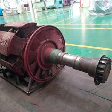 北京某變頻柜廠家試驗(yàn)用電機(jī)T3200、1730-10KV轉(zhuǎn)子磁極線圈修復(fù)
