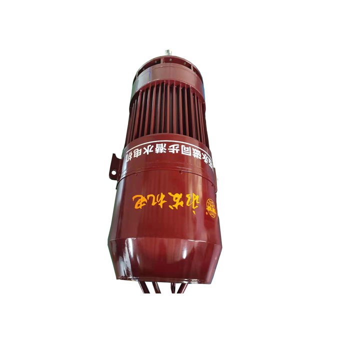 高壓永磁潛水電機