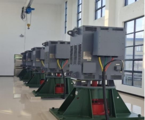 看高耗能企業(yè)電機(jī)節(jié)能改造的誤區(qū)與破局之道 - 專(zhuān)訪(fǎng)西安西瑪電機(jī)有限公司技術(shù)中心主任張邦寧